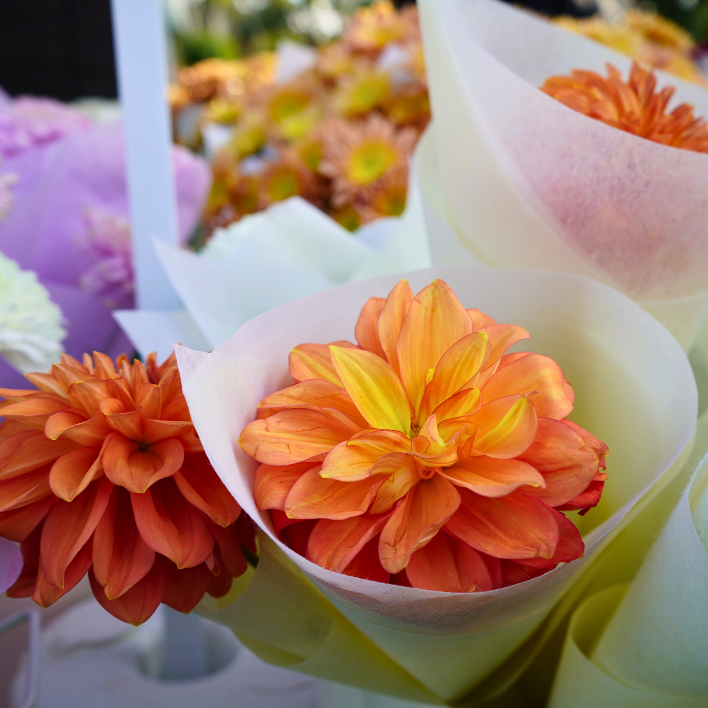 Mother’s Day High Tea at Wildflowers Cafe